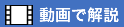 動画で解説